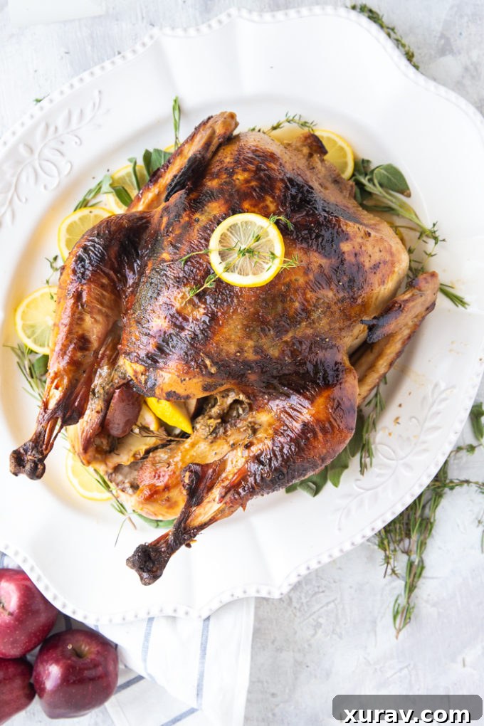 A delicious roast turkey recipe, this Thanksgiving turkey is roasted to perfection