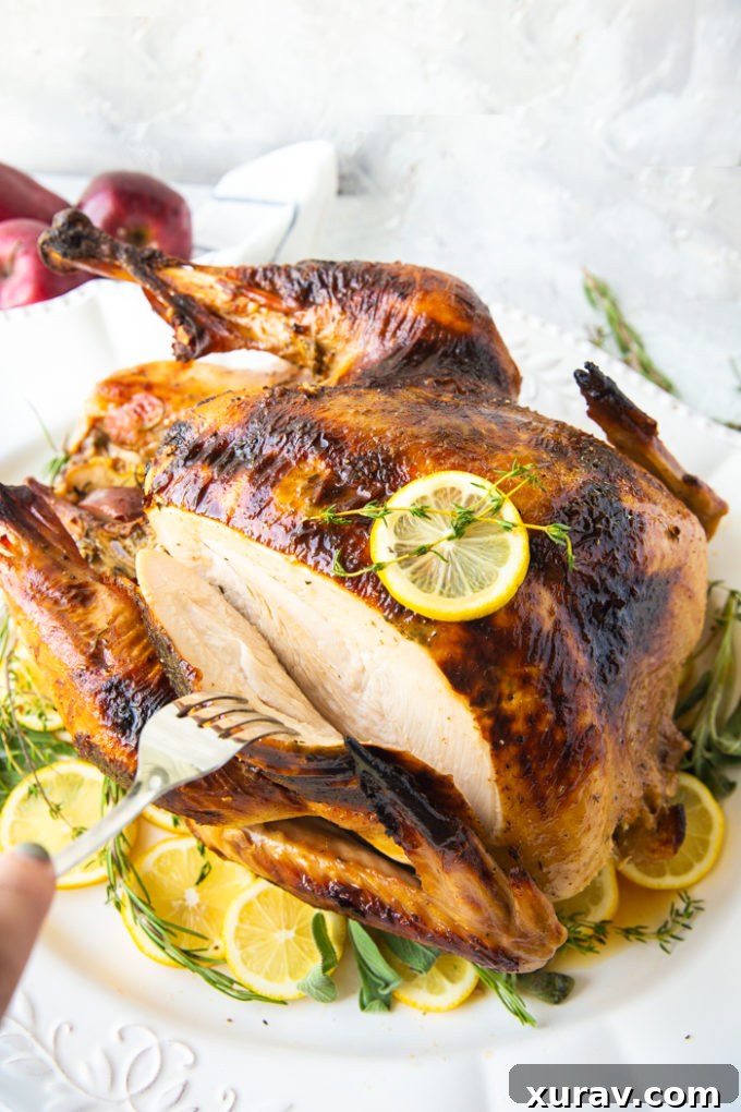 Slicing into a roast turkey for a juicy, tasty, turkey for Thanksgiving