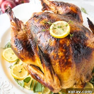 Roast Turkey - How to cook a turkey, a lovely roast turkey on a white platter with fresh herbs and sliced lemons