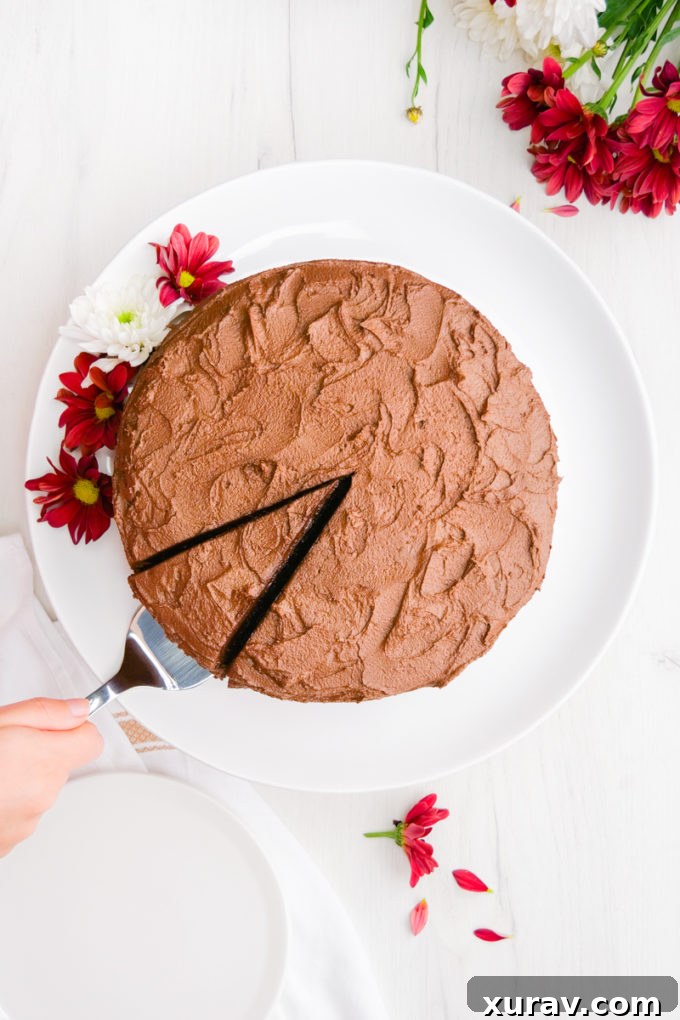 A top down view of a chocolate cake with a single slice cut, and a spatula pulling it out.