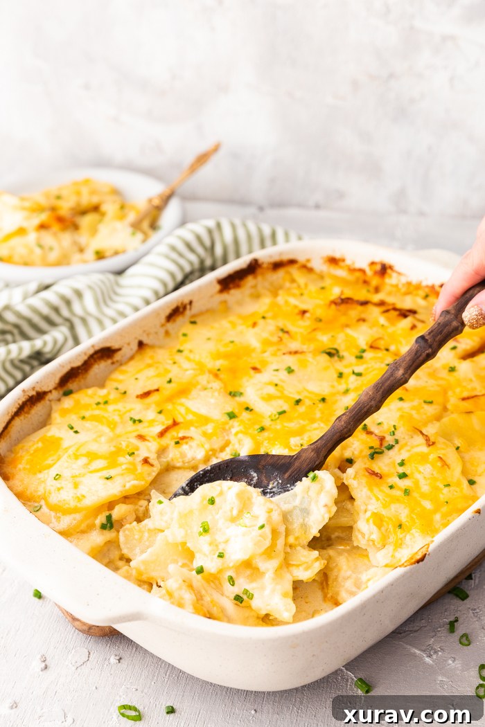 Easy scalloped or au gratin potatoes, these potatoes are loaded with cheese and creamy sauce and baked to perfection