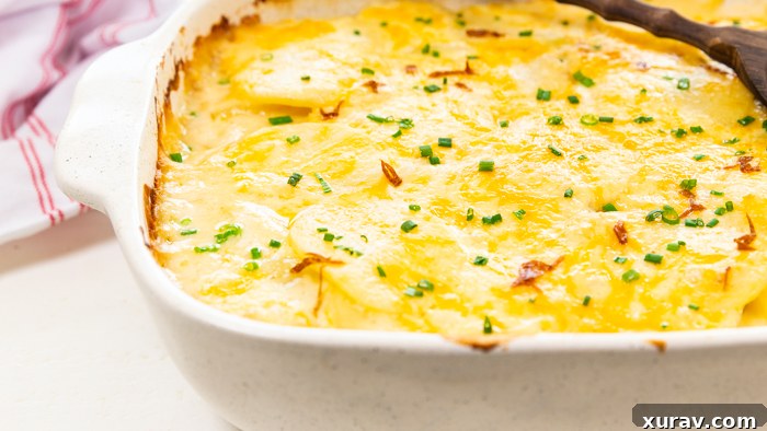 Creamy scalloped potatoes in a white casserole dish