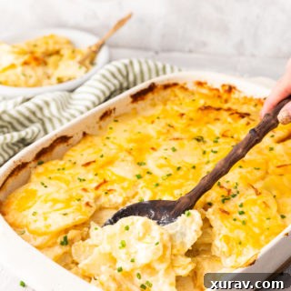 Easy scalloped or au gratin potatoes, these potatoes are loaded with cheese and creamy sauce and baked to perfection