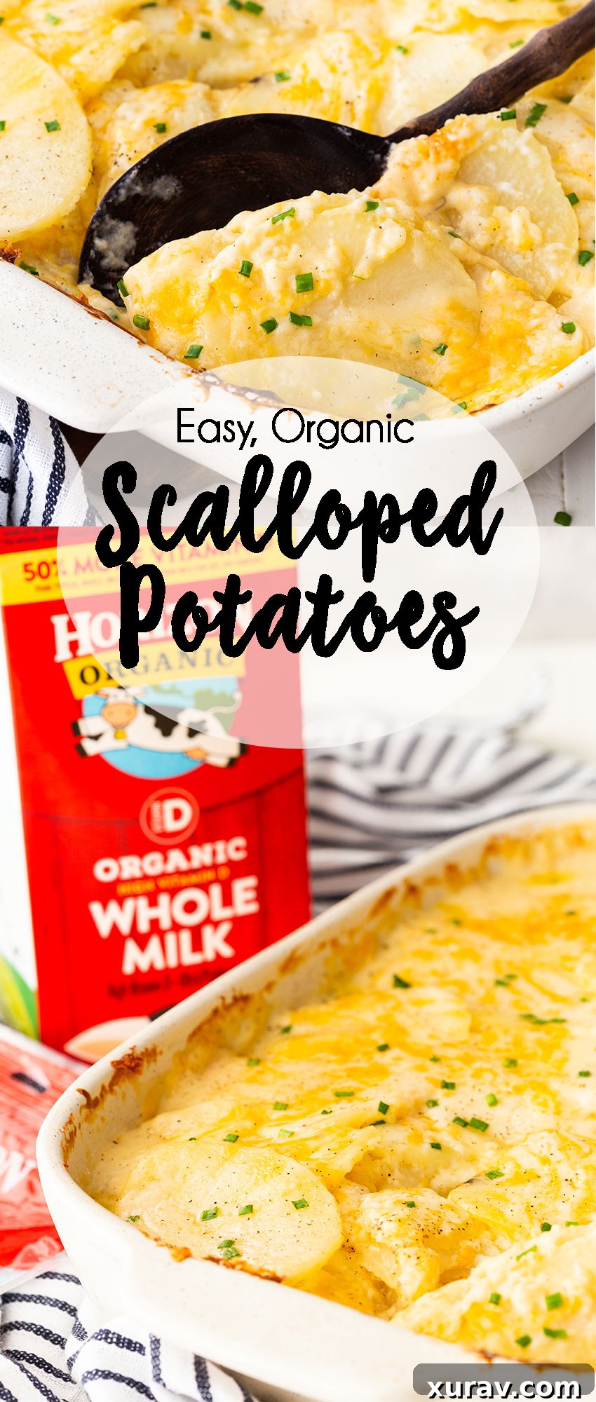 Easy organic scalloped potatoes