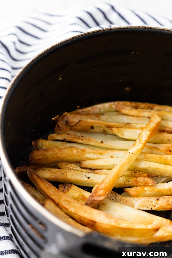 Close-up of golden brown air fried French fries, perfectly seasoned and cooked.