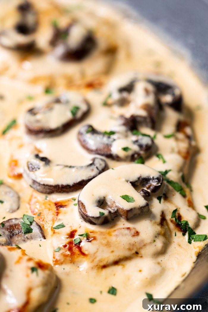 Creamy, low carb, chicken marsala served with cauliflower rice