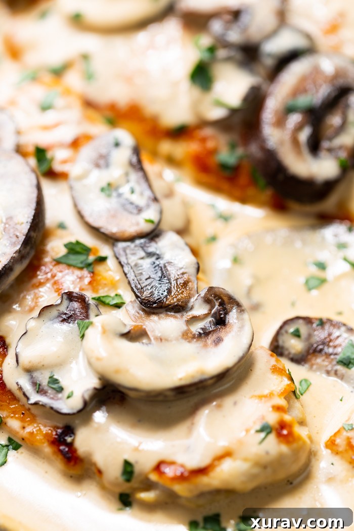 Creamy chicken marsala in a skillet with mushrooms and fresh herbs, garnished for serving