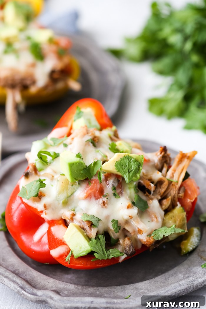 A plate with a close up of a pork stuffed peppers