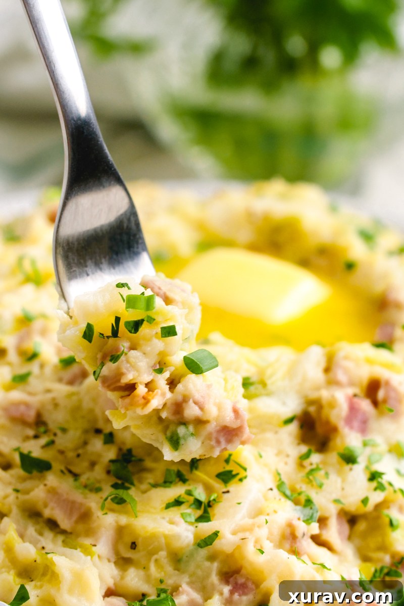 A close up shot of Colcannon , a fork full of creamy mashed potatoes with cabbage