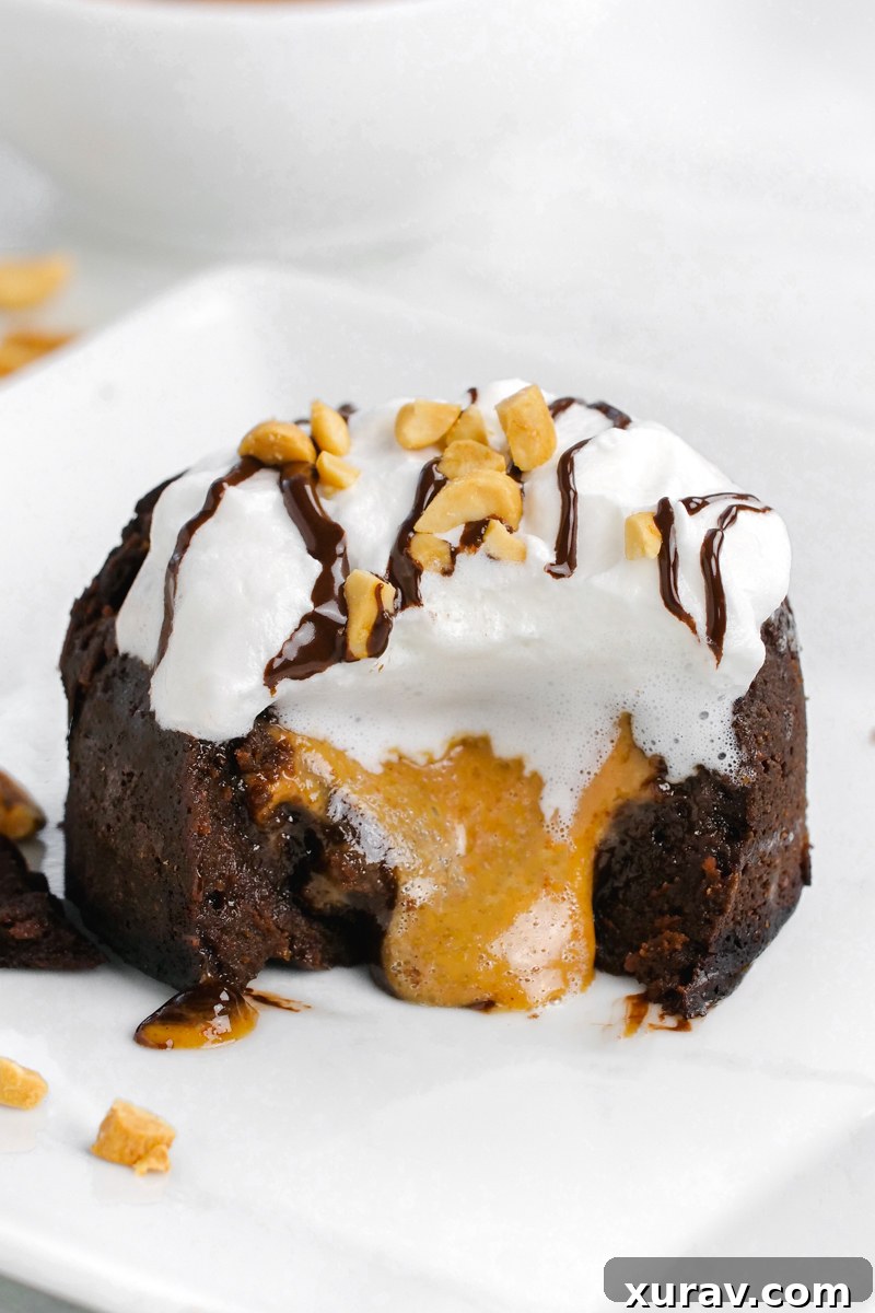 A delicious chocolate lava cake with a rich peanut butter center oozing out, beautifully garnished with whipped cream, chopped peanuts, and a chocolate drizzle.