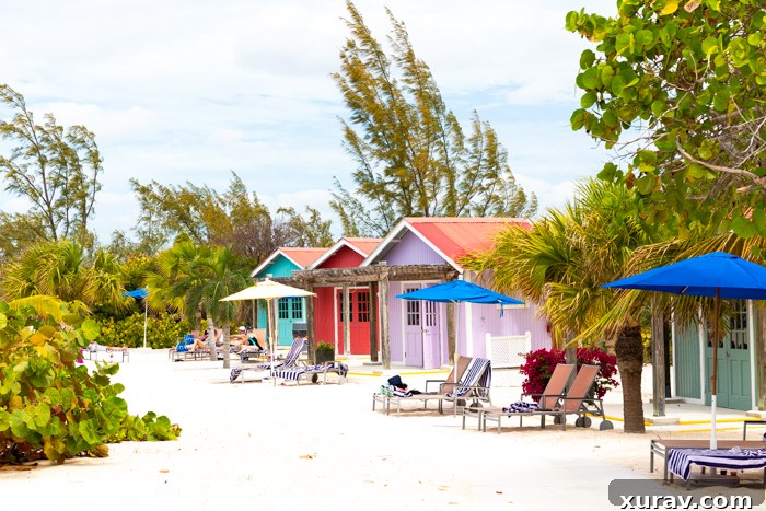 Idyllic view of Princess Cays beach with clear blue water and lounge chairs.