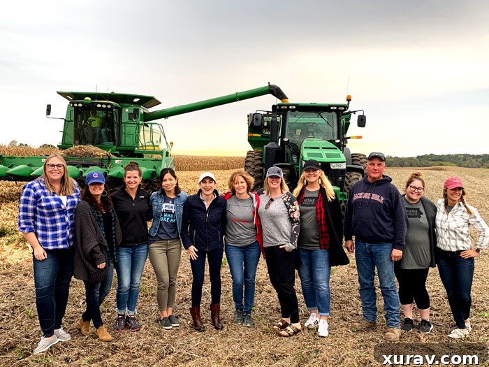 An Iowa corn field stretching to the horizon under a clear sky, symbolizing abundance and agricultural significance.