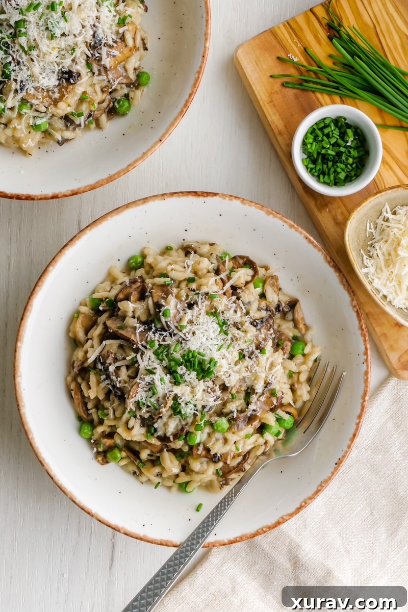 Close-up of a bowl of mushroom risotto with a spoon