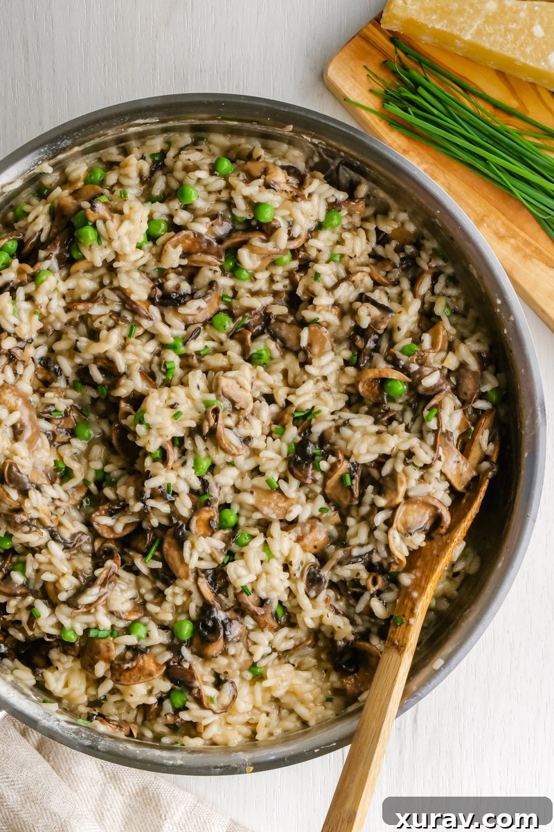 Overhead view of mushroom risotto in a bowl