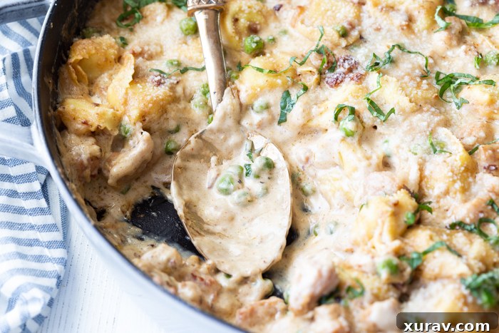 A close-up of the delicious pork and tortellini skillet bake before serving.