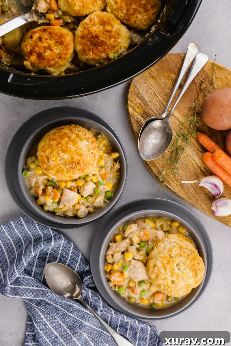 Overhead view of a bowl of slow cooker chicken pot pie.