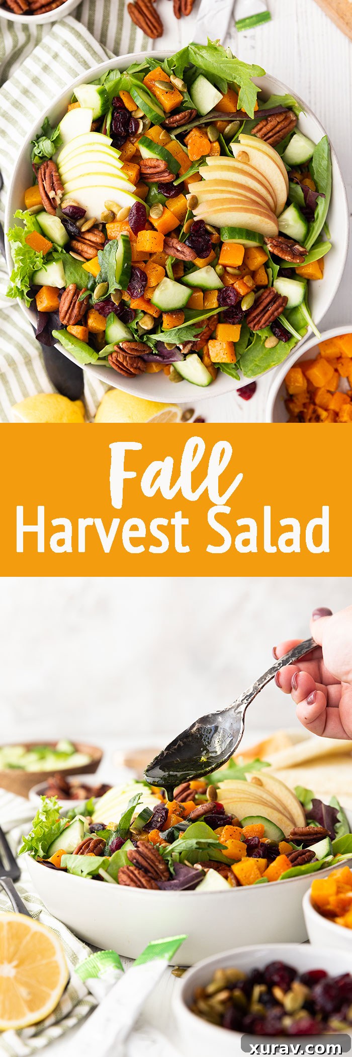 Pinterest Pin image for Fall Harvest Salad: A crunchy, delicious, totally filling Fall Harvest Salad loaded with all the best flavors of fall, featuring roasted butternut squash, apples, pecans, cranberries, and a special green power dressing.