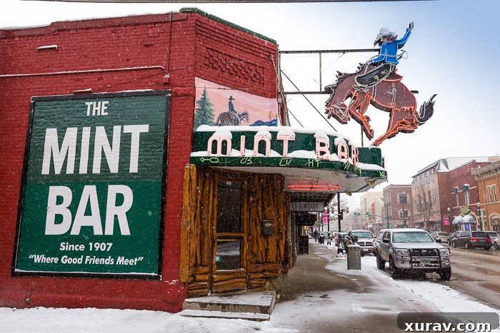 Interior of The Mint Bar in Sheridan, featuring taxidermy and historic decor