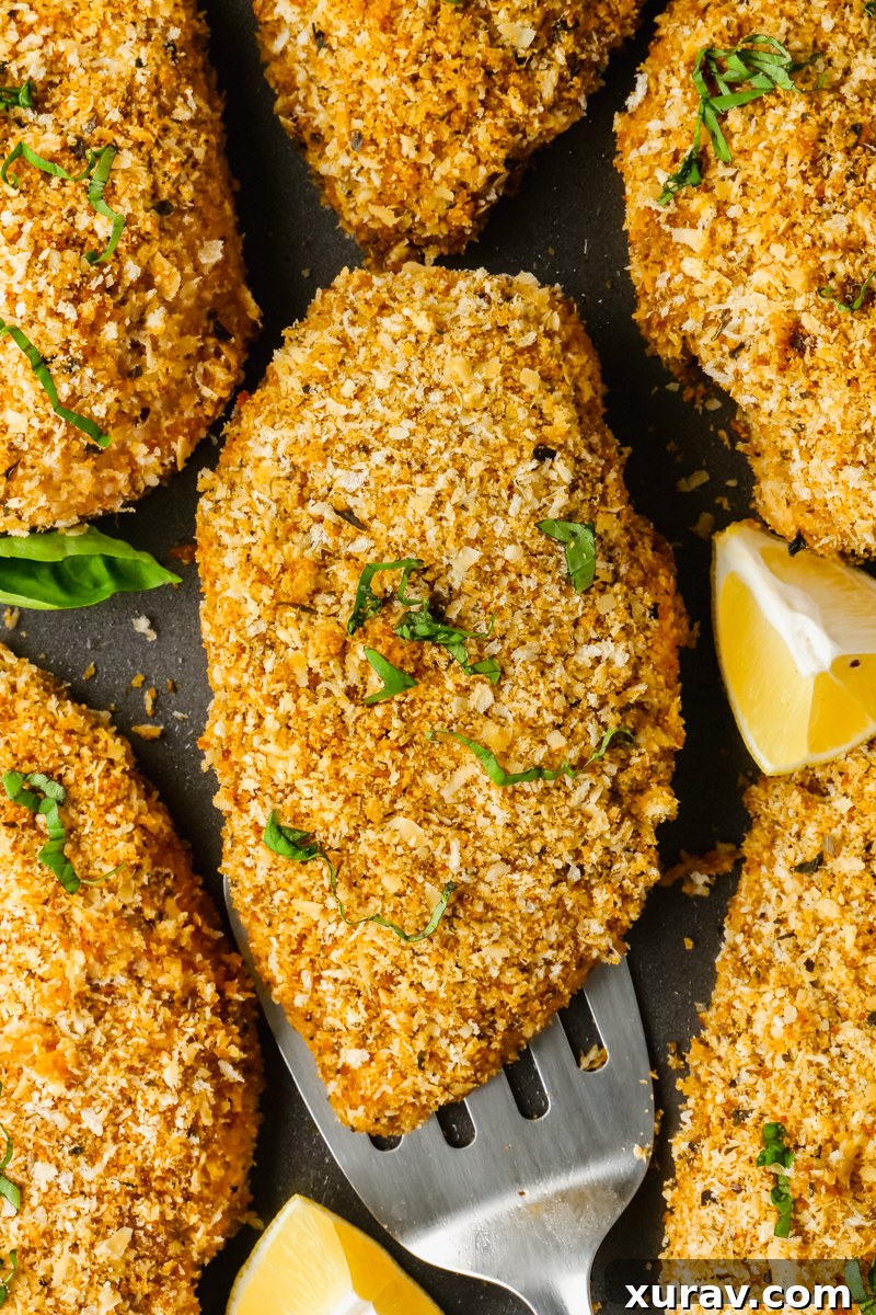 Golden brown baked breaded chicken breasts on a white serving platter, garnished with fresh parsley.