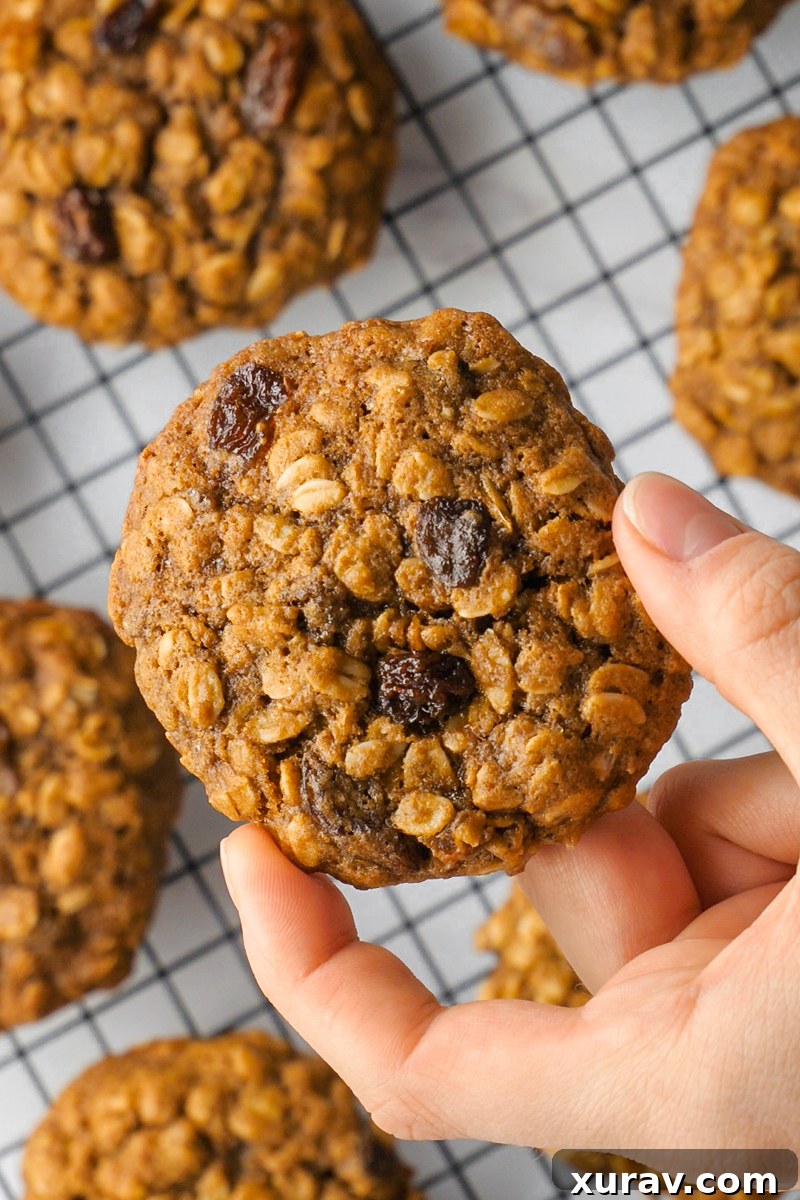 Thick and chewy oatmeal raisin cookies on a cooling rack
