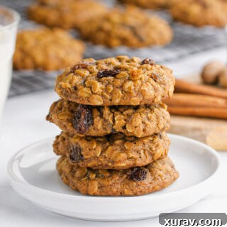 Oatmeal Raisin Cookies