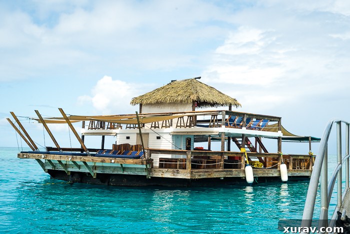 Delicious wood-fired pizza on Cloud 9 Fiji