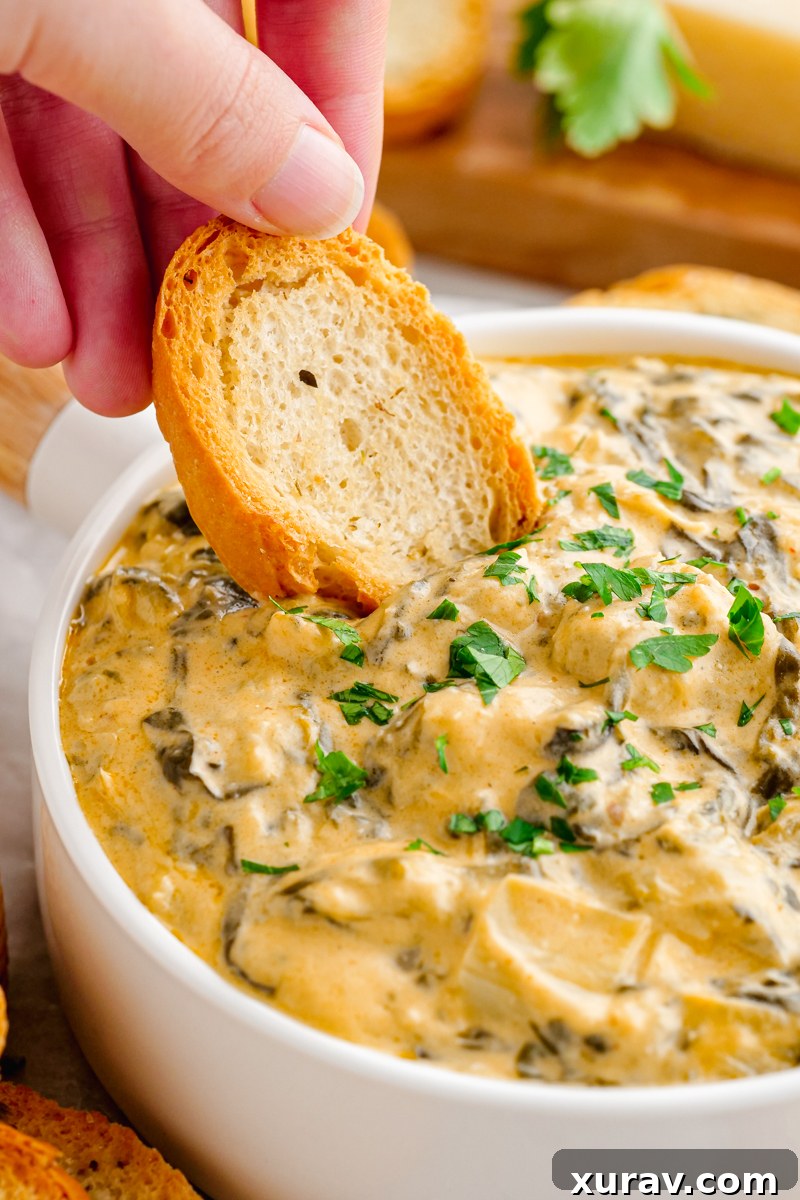 Spinach Dip dippers