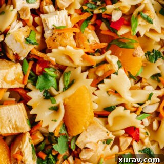 A close up of the pasta, chicken, mandarins, and other ingredients in Asian Pasta Salad
