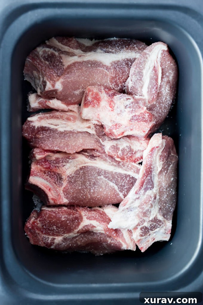 Close-up of cooked BBQ Country Style Pork Ribs