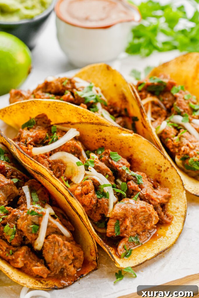 Pork mole tacos on a white plate, beautifully arranged and ready to be enjoyed.