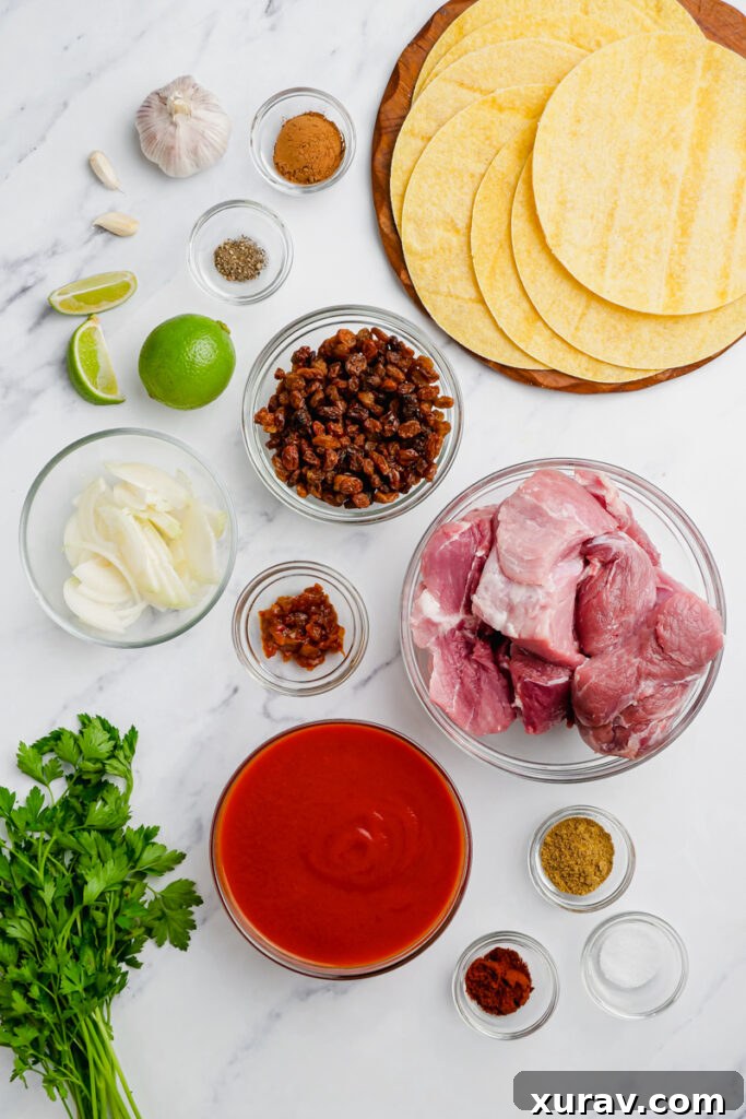 Two Shredded Pork Mole Tacos served on a dark plate, garnished with fresh cilantro and onions.