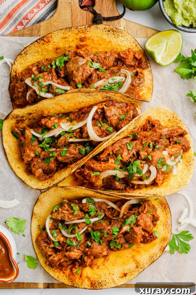 A serving of Shredded Pork Mole Tacos on a white plate, garnished with fresh cilantro.
