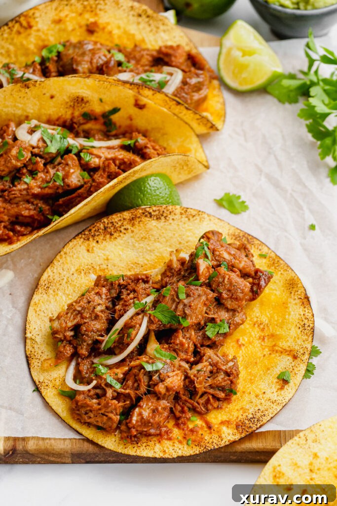 A vibrant plate of Shredded Pork Mole Tacos, garnished with fresh toppings.