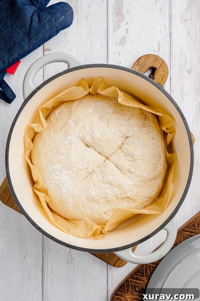 dough in a white pan