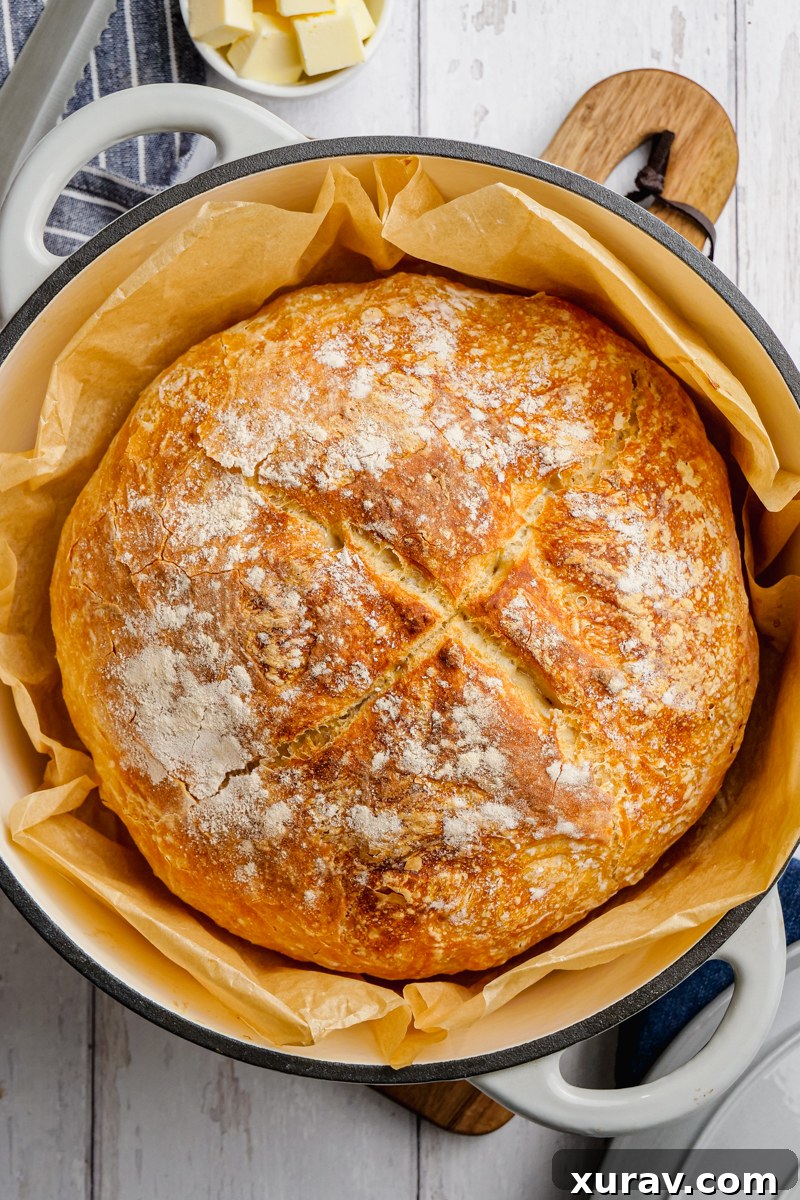 A dutch oven with beer bread