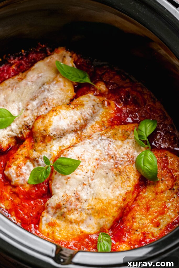 A top-down view of Slow Cooker Chicken Pomodoro simmering in a slow cooker, showing the rich tomato sauce and tender chicken pieces.