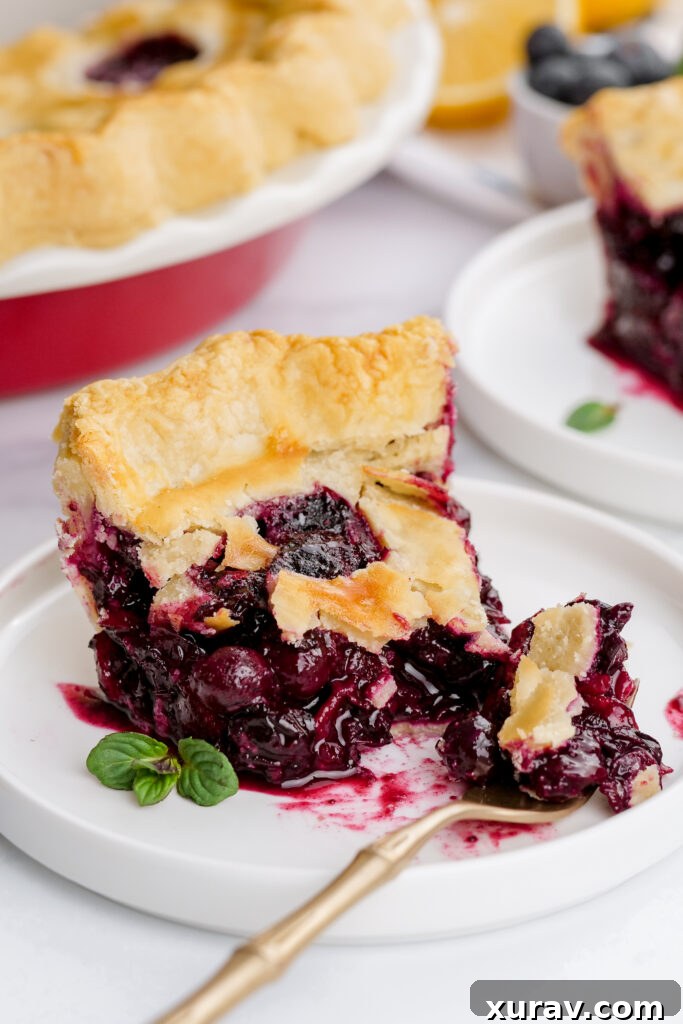 A slice of blueberry pie, with a bite taken out, flaky crust, thick filling