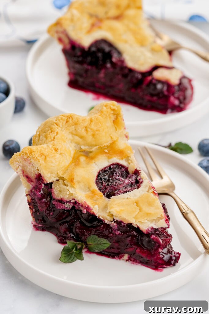 two slices of blueberry pie. This pie has a homemade filling and flaky homemade crust