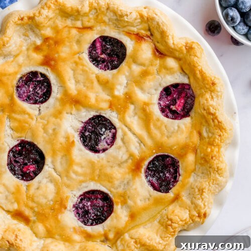Blueberry Pie with a flaky crust.