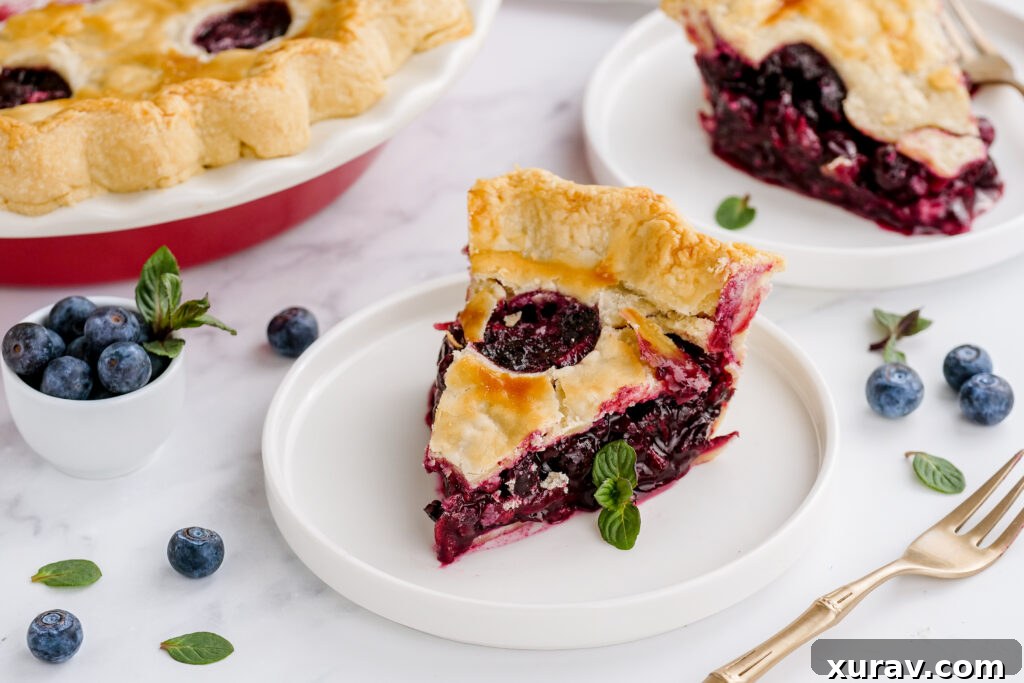 A slice of blueberry pie on a white plate, whole pie in the background