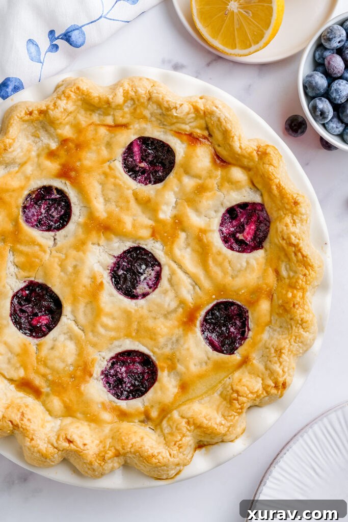 Fresh baked Blueberry pie