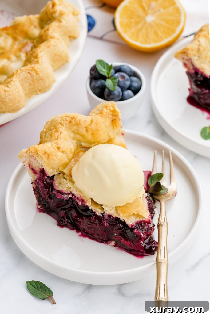 A piece of fresh blueberry pie topped with a slice of ice cream