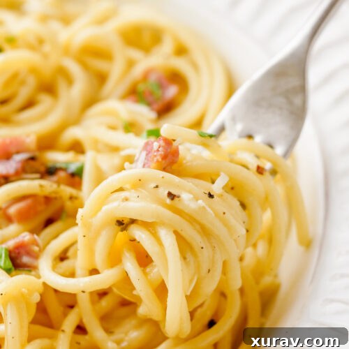 Carbonara, a fantastic pasta dish, in a white plate, and a fork.