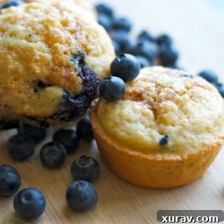 Delicious Homemade Blueberry Muffins