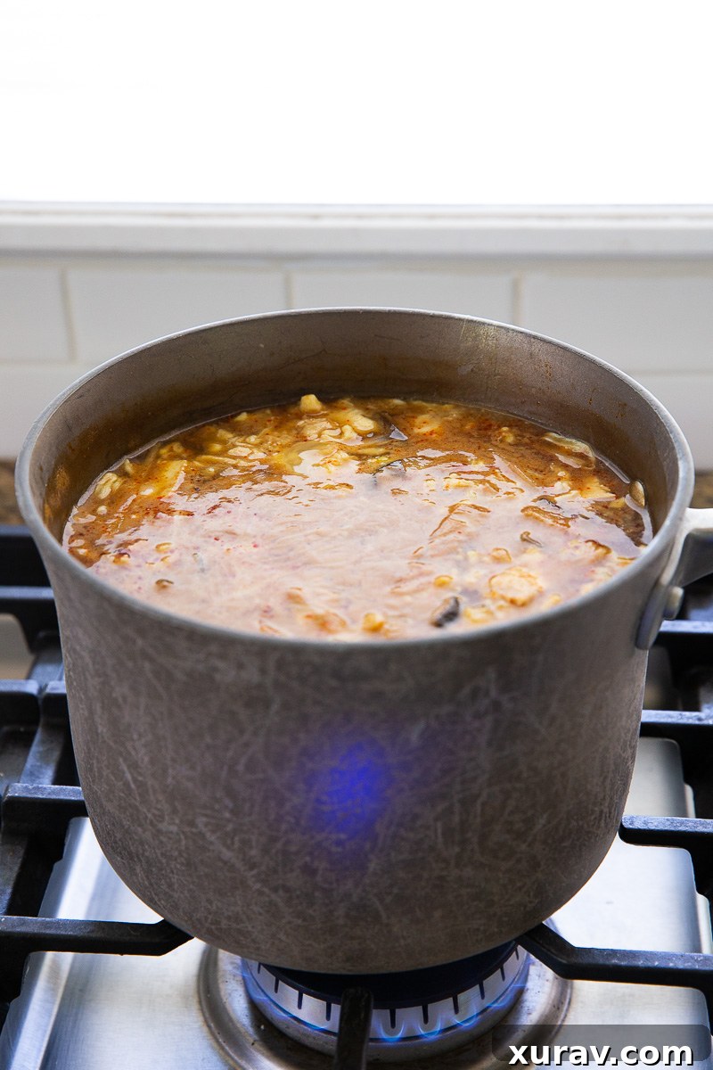 Cooking hot and sour soup