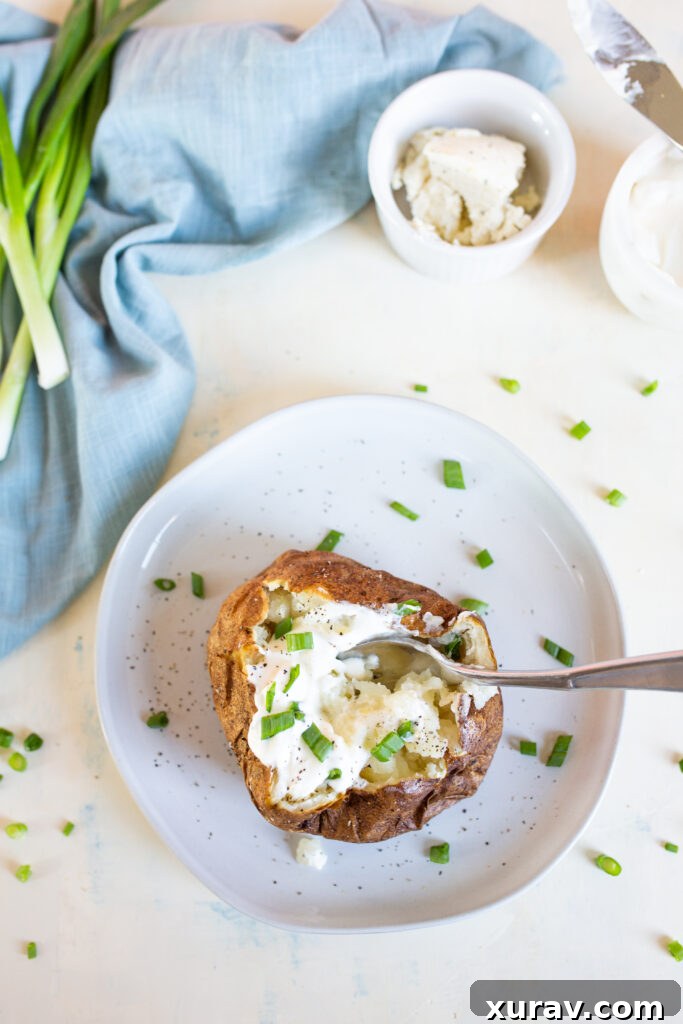 An air fryer baked potato with toppings
