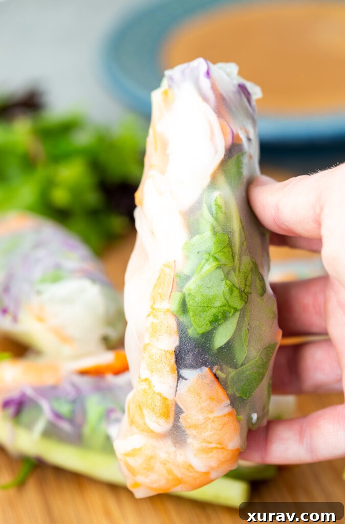 Making spring rolls with rice paper wrappers and stuffed with shrimp, mint, fresh veggies, etc