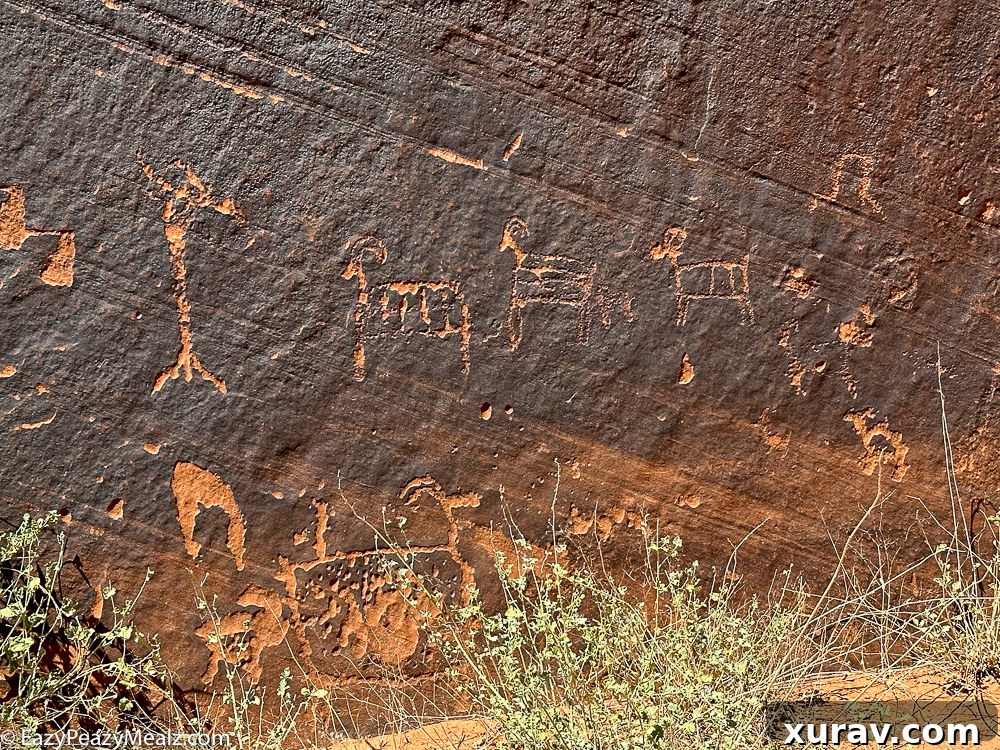 Petroglyphs along the Colorado River