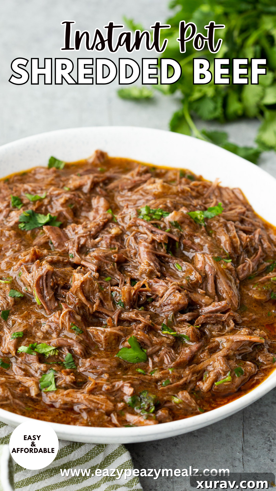 Instant Pot Shredded Beef!