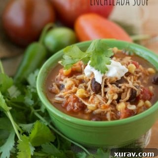 Chicken Enchilada Soup in a bowl, garnished with fresh toppings